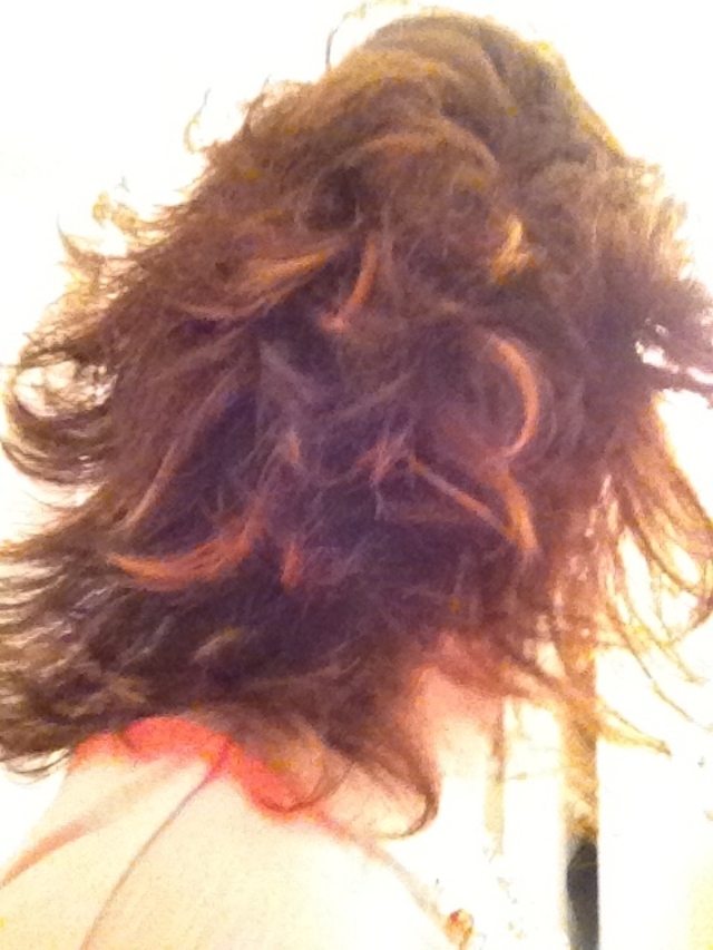 Brown/Gold Hair Color