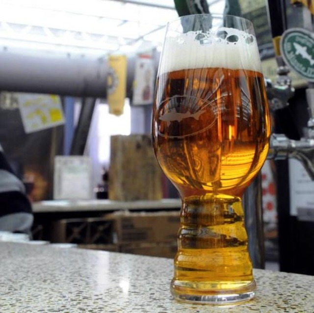 IPA Special Glass