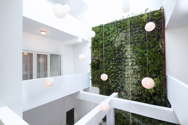 T%C3%81NTALO-Green-Wall