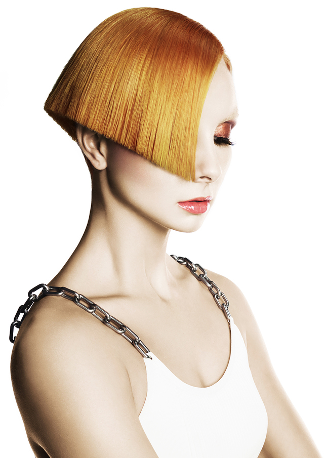2017 NAHA Haircutting Finalist 