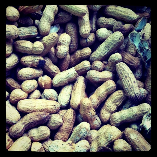 Avila Peanuts
