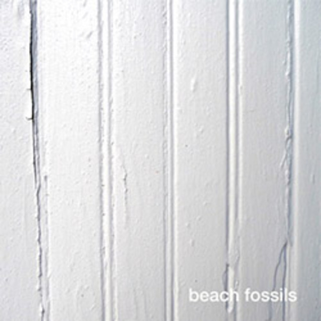 Beach-Fossils