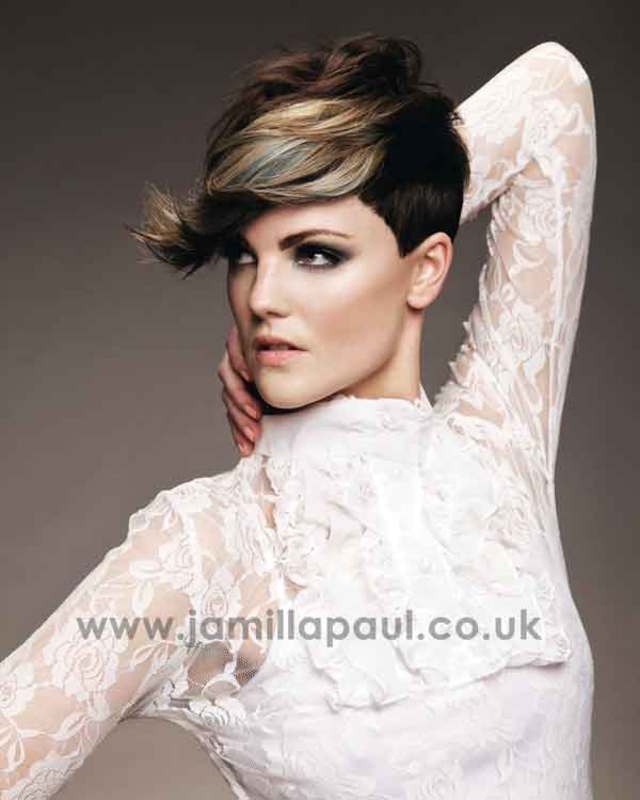 BHA Collection Highlights
