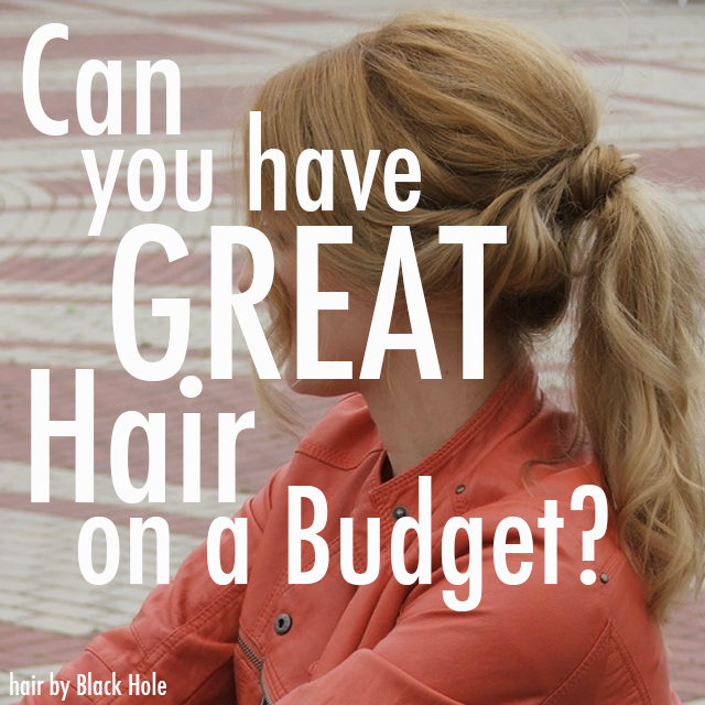 Re sized 4e31f290b006dbe8eb95 great hair on a budget cover
