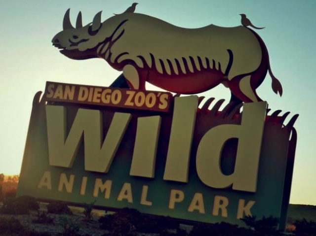 SD safari Park