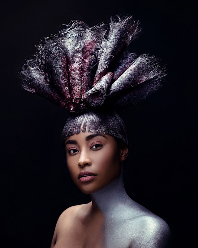 2017 NAHA Salon Team of the Year Finalist 