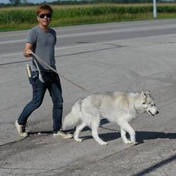 Re sized 53359a15da7eaa1919bb 1798168 625129677540264 788083947 n