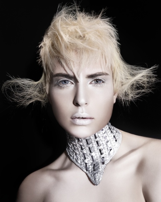 BHAs Collection 2013