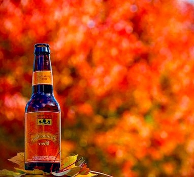 Gluten free fall beers