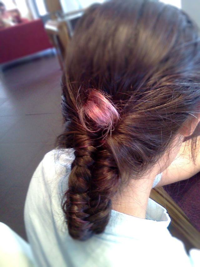 Colorsmash Fishtail Braid