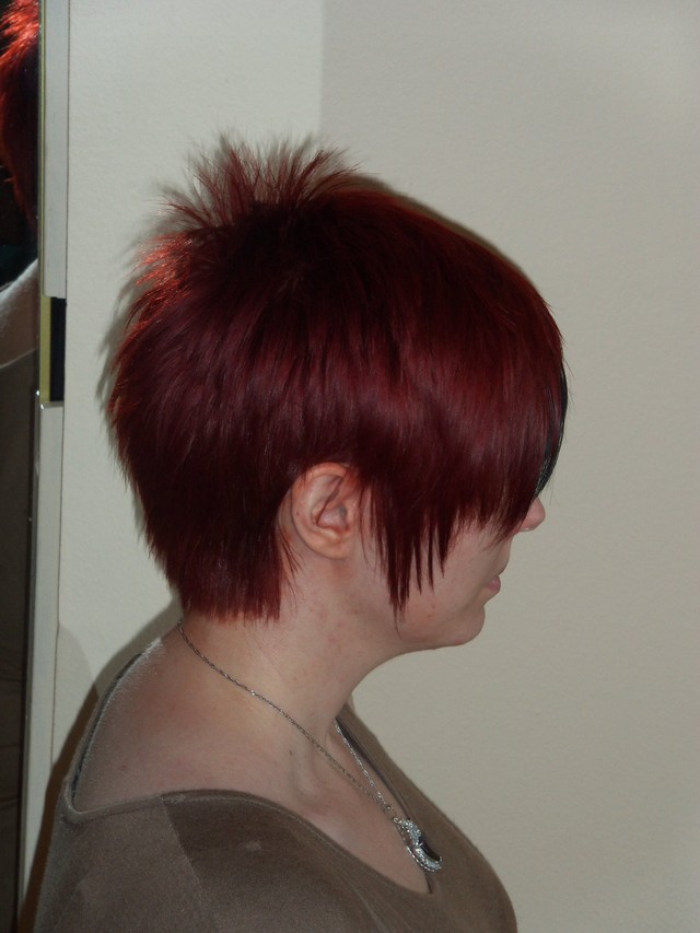 Anime Hair/J-Rocker