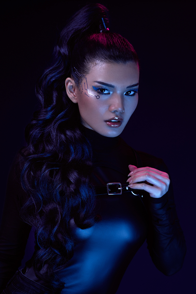 CYBERNETICS