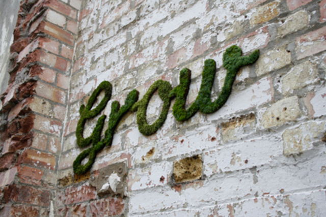 Moss graffiti