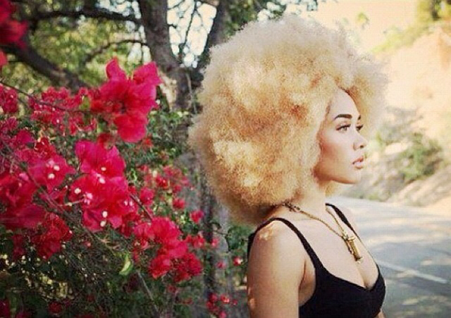 Afro Beauty