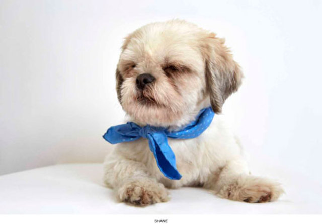 PHIBBS-HUMANE-SOCIETY-PART-6-MAY-2013-16