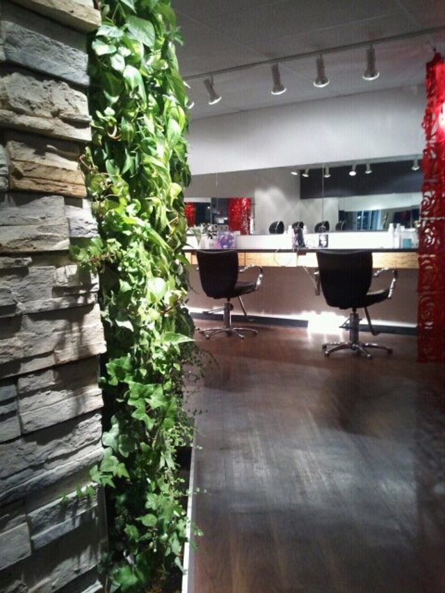 Farida Salon vertical plant wall!