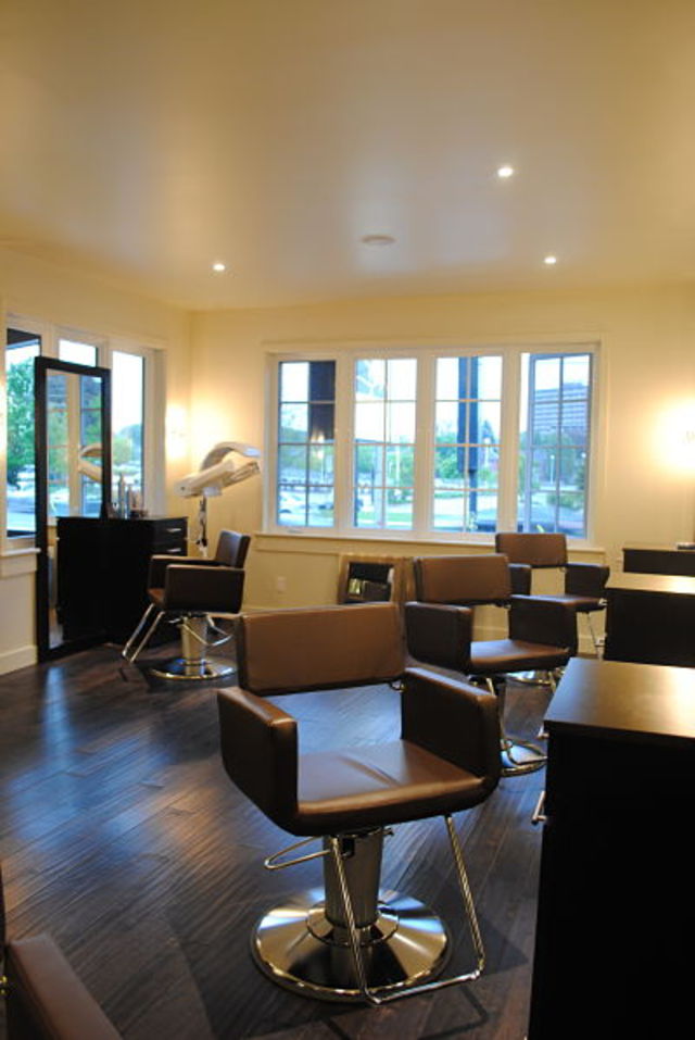 Oiseau Salon