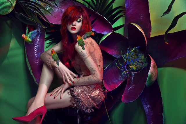 Wonderland Collection