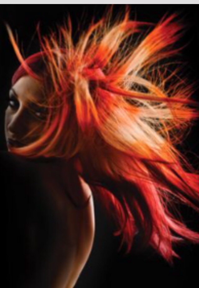 Eclipse , 
Hair : Marlo Steenman 
Photo : Jake Thompson 