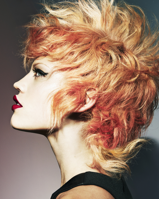 BHA Colour technician collection 2013