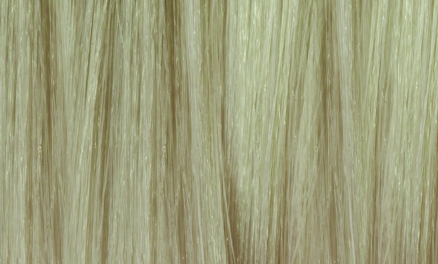 Fringe 11.1
