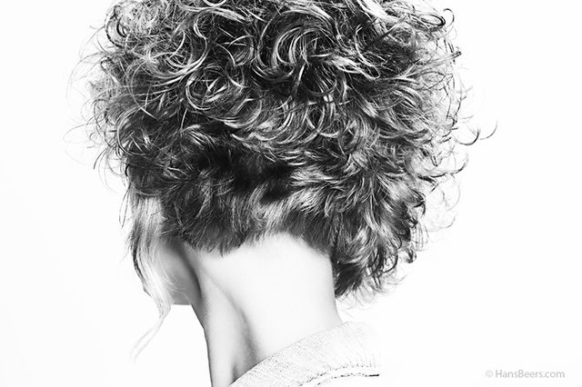 Kitty, curls, back side