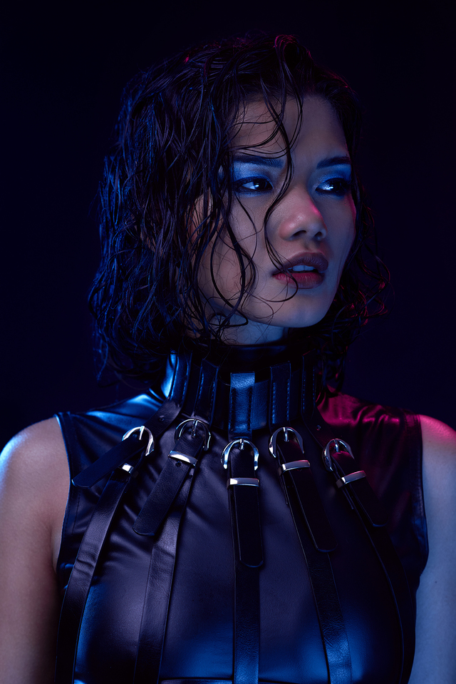 CYBERNETICS