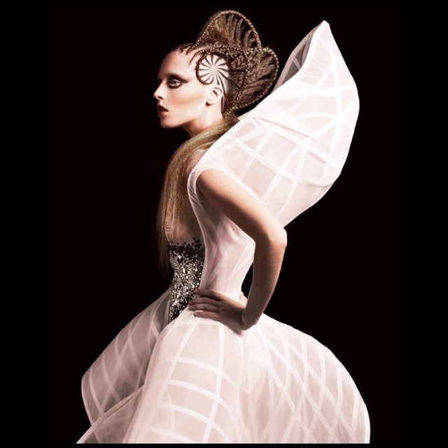British Avant Garde Hairdresser of the Year Collection 2010/11
