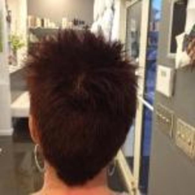 Michael Helene Salon Gallery