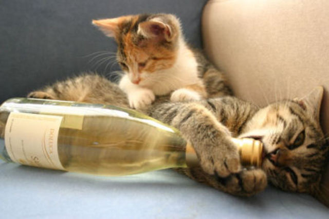 wine-open