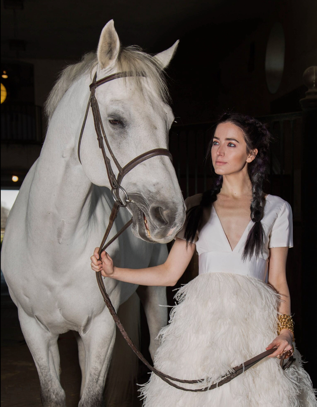 Horses and hair 