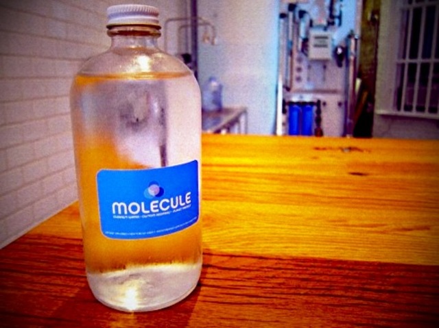Molecule Cafe Water Only
