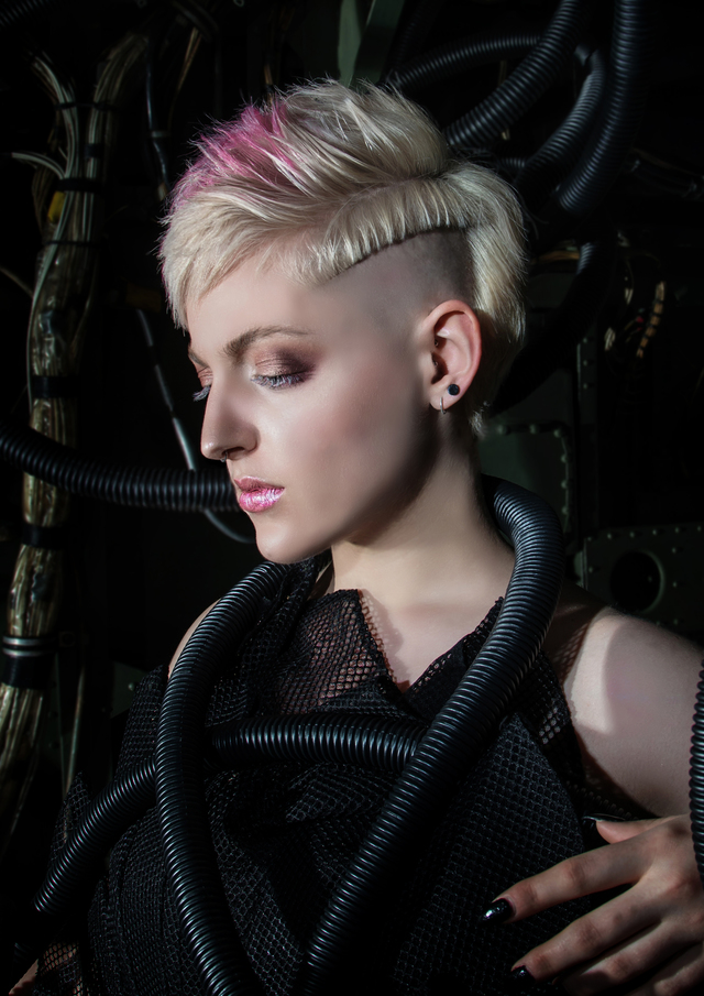 2017 Schwarzkopf New Creative Force Entry - Vee Nguyen