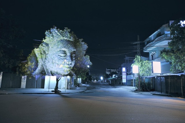 clement-briend-cambodian-trees