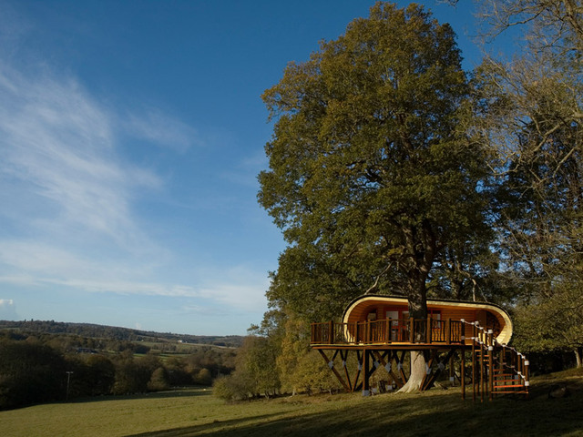 treehouse5