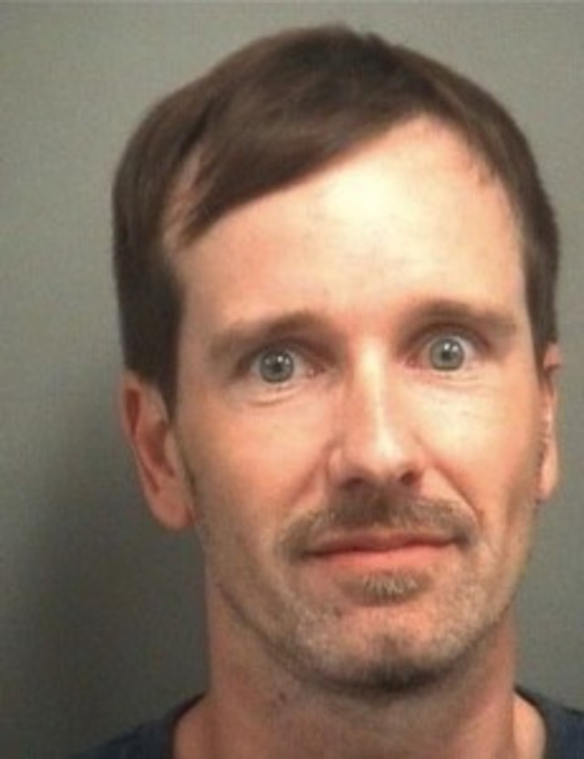 vinylpuristmugshot-231x300