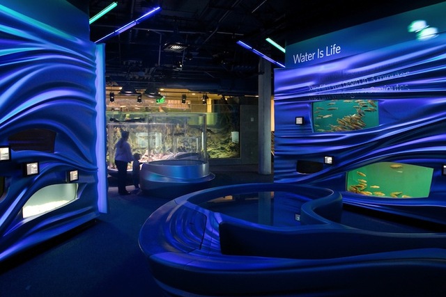 thincurbanaowaterplanet12