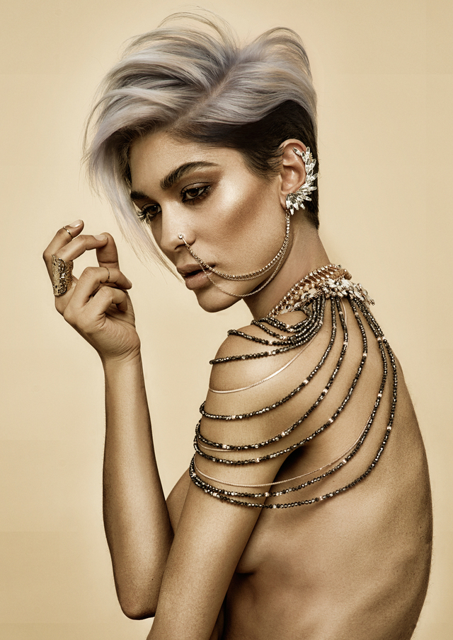 2017 NAHA Master Stylist of the Year Finalist 