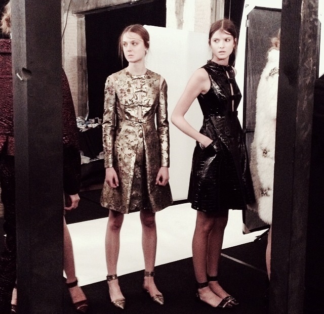 Erdem photo 6