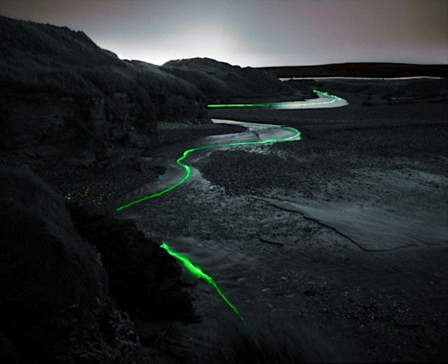 joeldevlinlednature