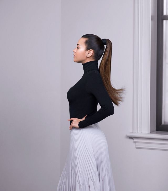 The Polished Ponytail