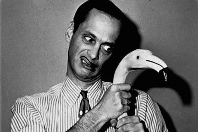51_Pink_Flamingos_3_t600