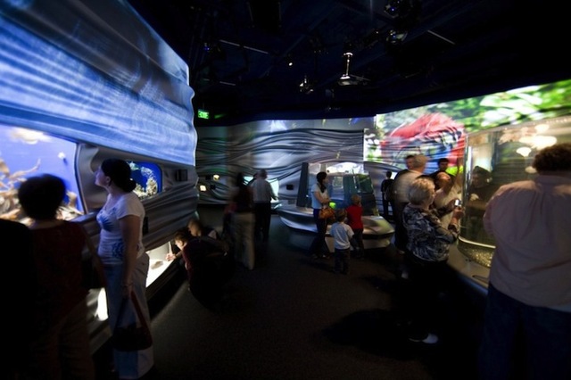 thincurbanaowaterplanet7