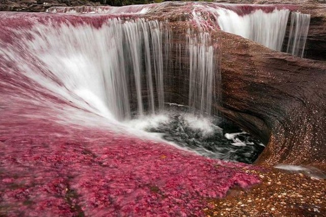 Canõ Cristales