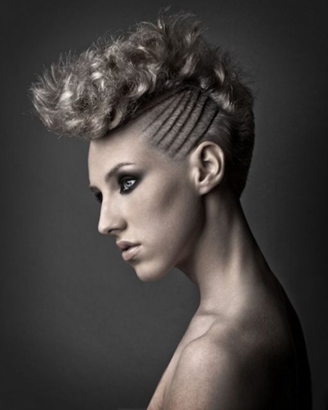 Shape Collection
