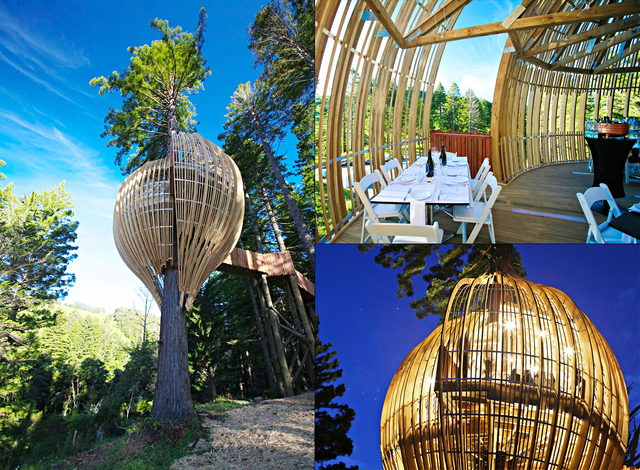 yellow-treehouse-resturaunt-new-zealand