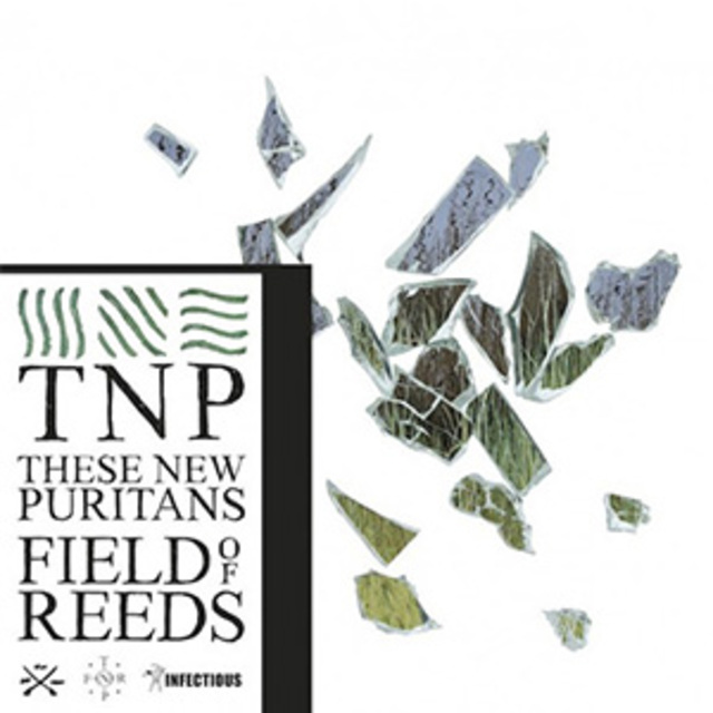 These-New-Puritans-Fields-of-Reeds