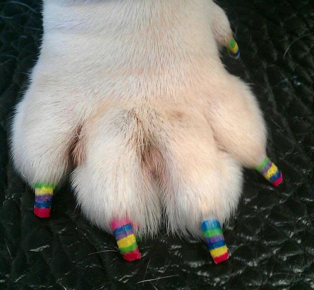 rainbow_polish
