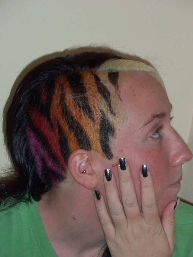 Summer Colored Zebra