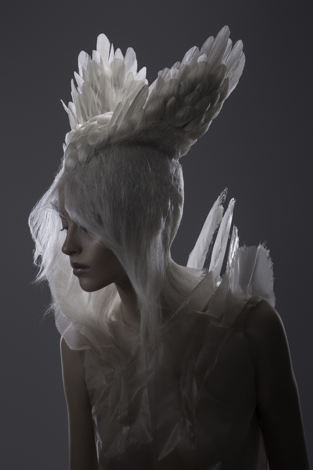 PHOENIX
